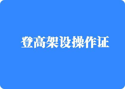 大鸡巴操B视频免费观看登高架设操作证